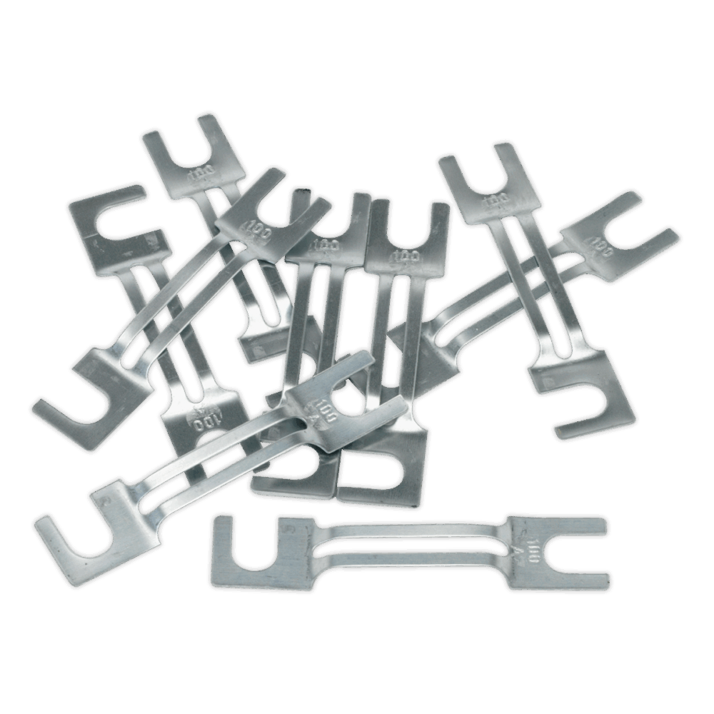 Sealey 120/802131 | 100A Fuse 99 x 20mm, Large - Pack of 10