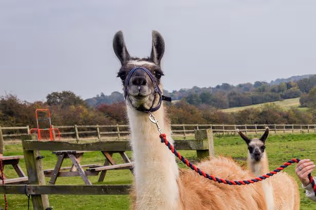 24/7 emergency air compressor repair service in East Lindsey