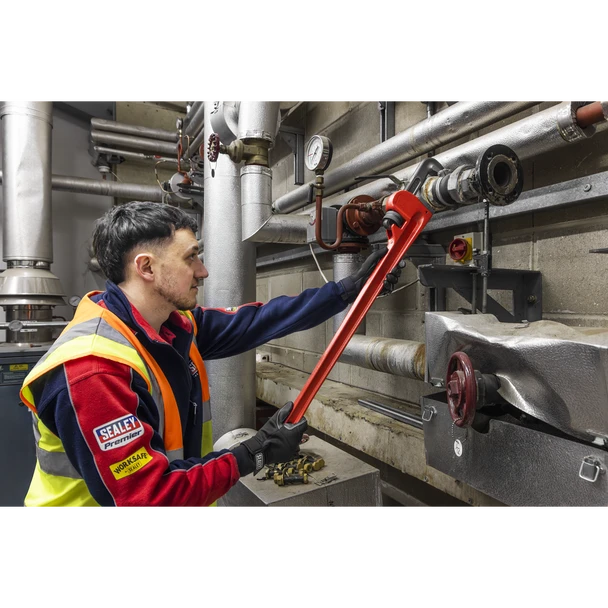 1a6fe9d9-ac4d-46d8-bd72-47d8b1ee350d__87833