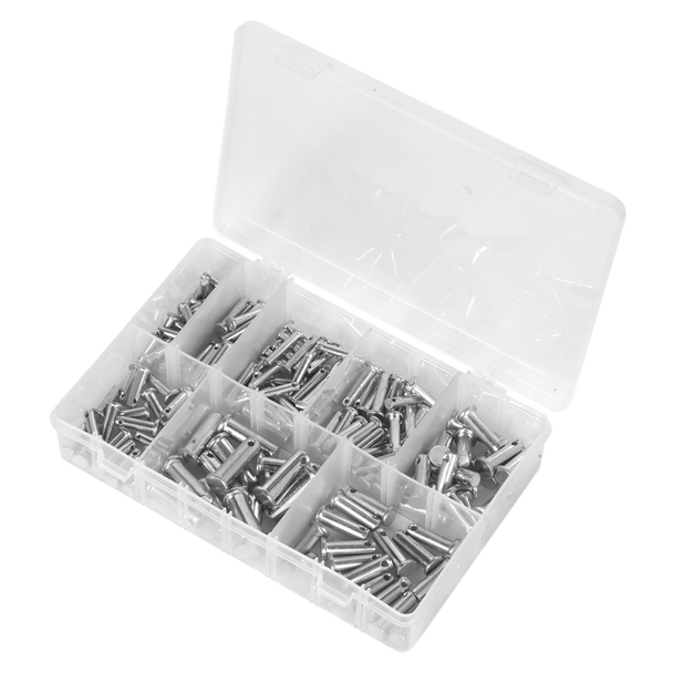 AB019CP.V2_PIC2_DFC1590054__09953