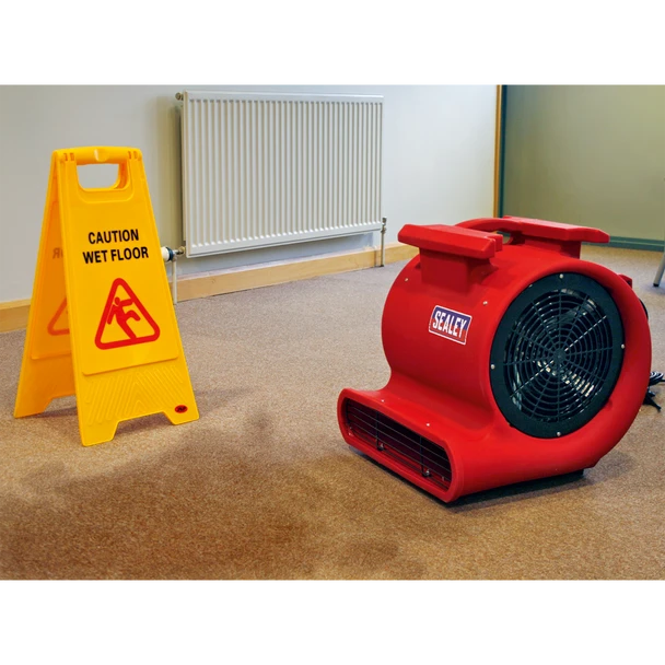 ADB3000_ACT_DRYING_CARPET__92686