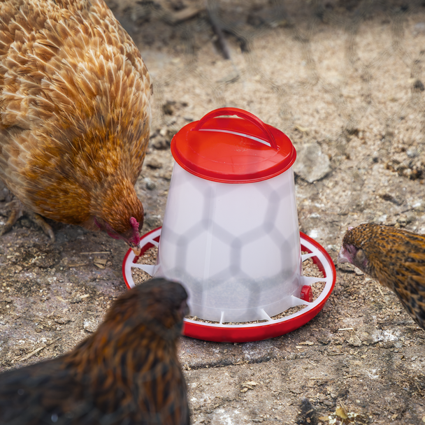 Sealey AFT02 ⏐ Poultry Feeder 1.5kg