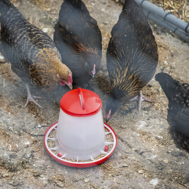 Sealey AFT02 ⏐ Poultry Feeder 1.5kg