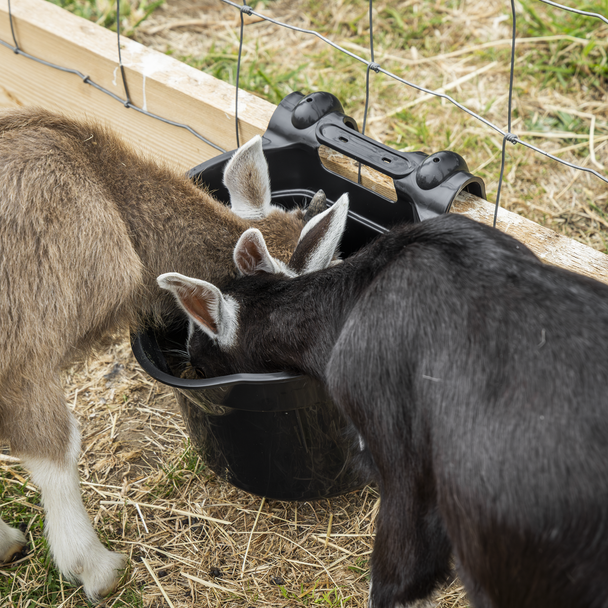 Sealey AFT05 ⏐ Hook-Over Feeder 7L