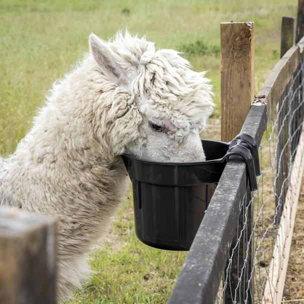 Sealey AFT05 ⏐ Hook-Over Feeder 7L