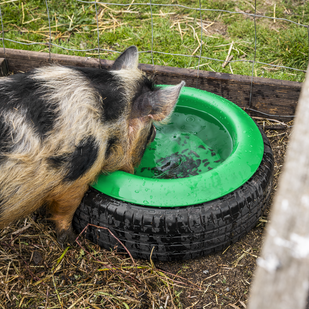 Sealey AFT07 ⏐ Tyre Feed Bowl 15L