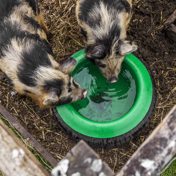 Sealey AFT07 ⏐ Tyre Feed Bowl 15L