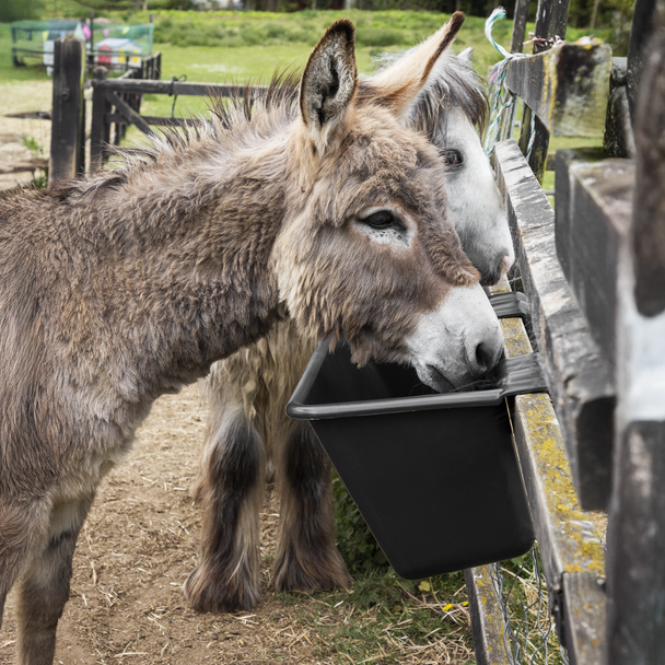 Sealey AFT08 ⏐ Hook-Over Trough 40L