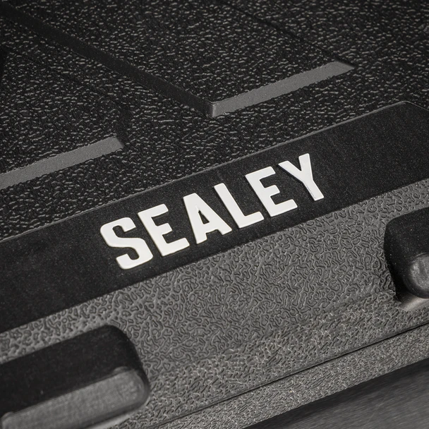 AK3046_ACT_SEALEY_LOGO_DFC1706901__65311
