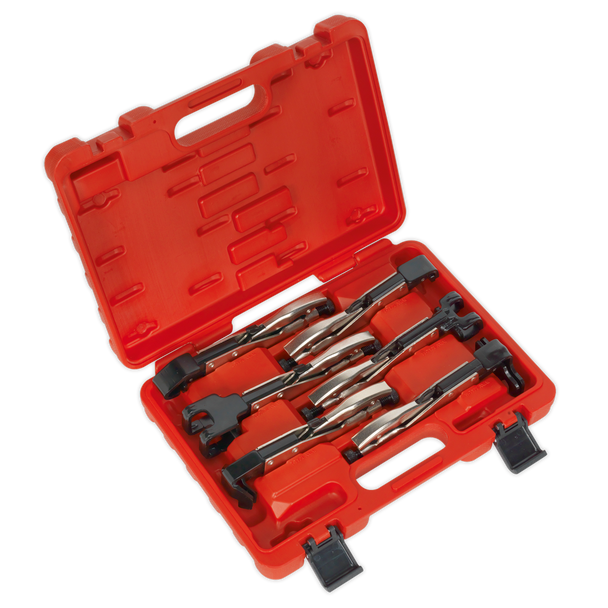 Sealey AK68403 | Premier Axial Locking Grip Set 6pc