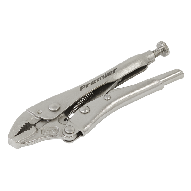 AK6876_125MM_PLIER_DFC1539043__94728