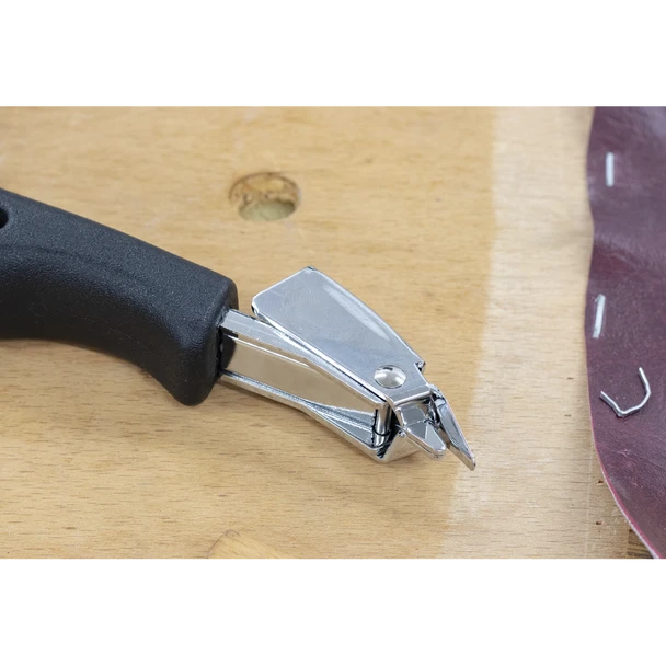 AK707_ACT_IN_SITU_PIC2_DFC1464098__05582