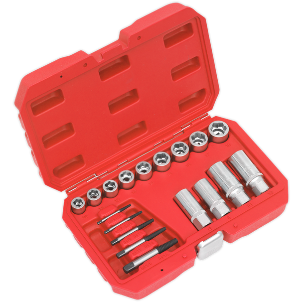 Sealey AK751 | Premier Bolt, Stud & Screw Extractor Set 18pc