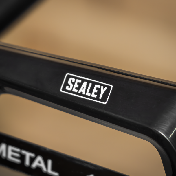 AK8695.V2_ACT_SEALEY_LOGO_DFC1811255__79169