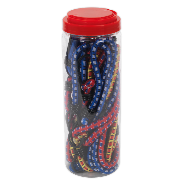 Sealey BCS10 | Bungee Cord Set 10pc