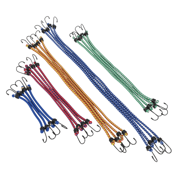 Sealey BCS20 | Bungee Cord Set 20pc