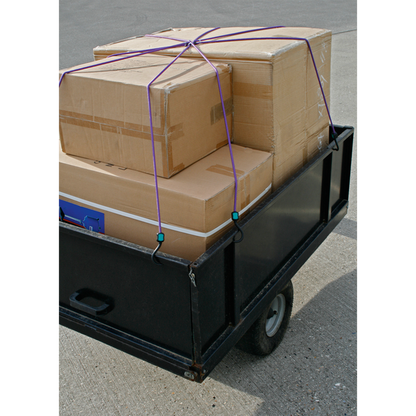 Sealey BCS23 | Octopus Bungee Cord 1000mm