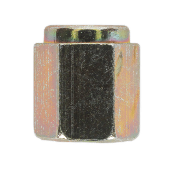 Sealey BN10100 ⏐ Brake Pipe Nut Short Female M10 x 1mm - Pack of 25