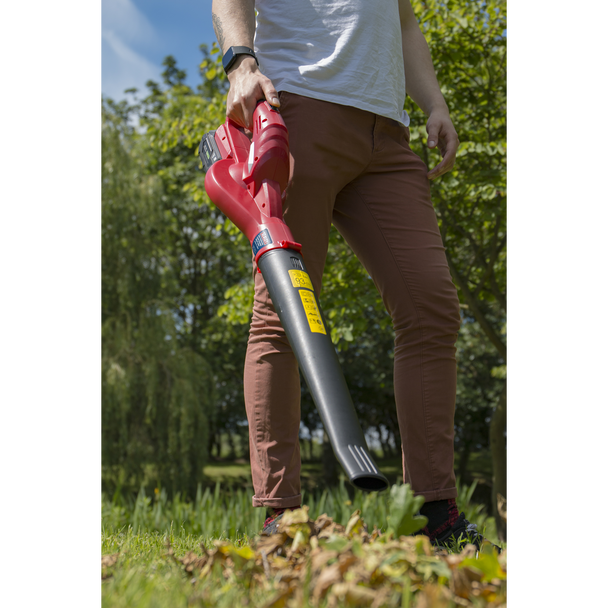Sealey CB20VCOMBO4 │ SV20 Series Cordless Leaf Blower with 20V 4Ah Battery & Charger