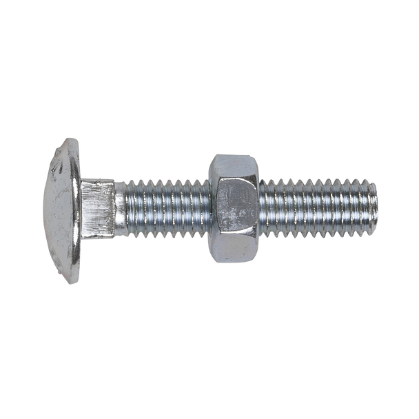 Sealey CBN840 │ Zinc Plated Coach Bolt & Nut M8 x 40mm, DIN 603 - Pack of 50