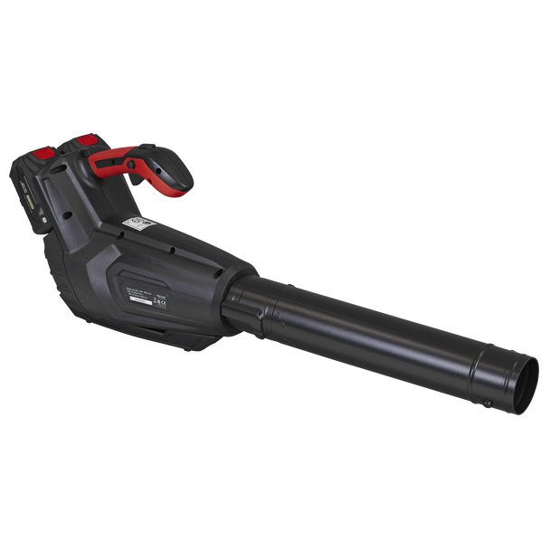 Sealey CP40VB │ SV20 Series Cordless Blower 40V - Body Only ...