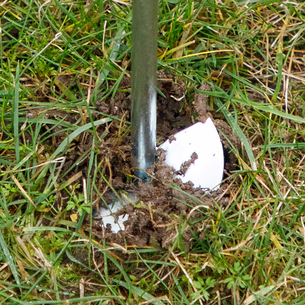 Sealey DL70 │ Dellonda Trampoline Anchor Kit 4pc