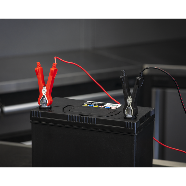 Sealey DSBC4 │ Battery Charger 12V 4A 230V