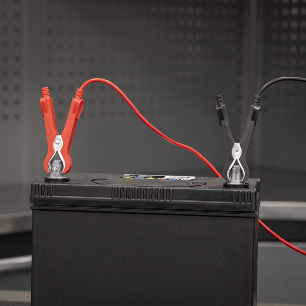 Sealey DSBC8 │ 8A 6/12V Battery Charger 230V