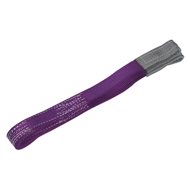 Sealey LS1001 ⏐ Load Sling 1m 1 Tonne Capacity