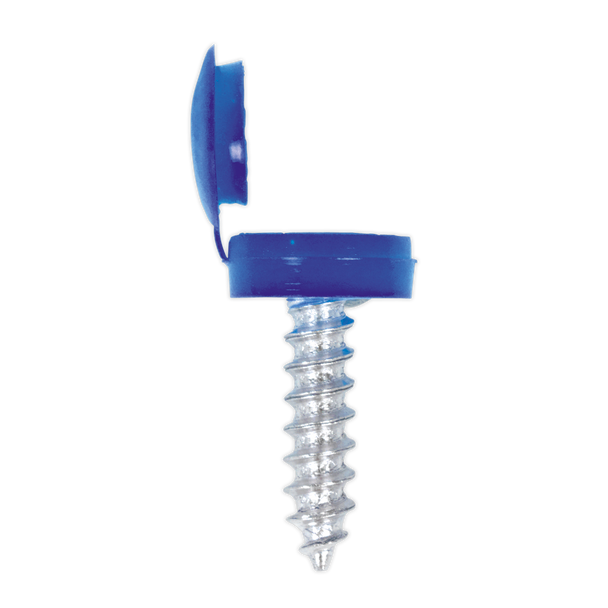 Sealey NPSSET ⏐ Clip Strip Deal - Mixed Numberplate Screws