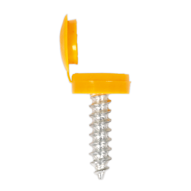 Sealey NPSSET ⏐ Clip Strip Deal - Mixed Numberplate Screws