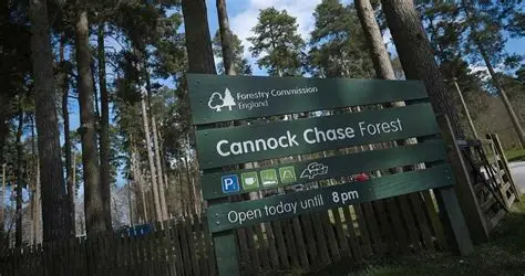 Compressor Servicing, Repairs & Maintenance Cannock Chase