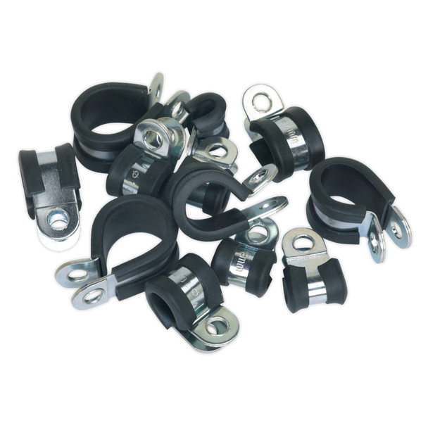 Sealey PCJASS ⏐ Rubber Lined P-Clip Assortment 60pc