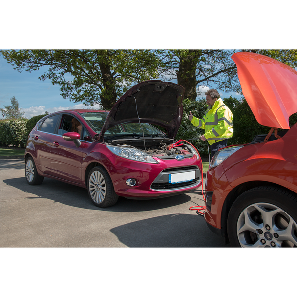 Sealey PROJ/12/24 ⏐ Booster Cables 25mm² x 7m 450A with 12/24V Electronics Protection