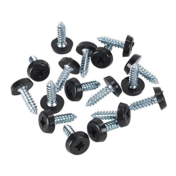 Sealey NPSSET ⏐ Clip Strip Deal - Mixed Numberplate Screws
