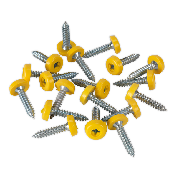 Sealey NPSSET ⏐ Clip Strip Deal - Mixed Numberplate Screws