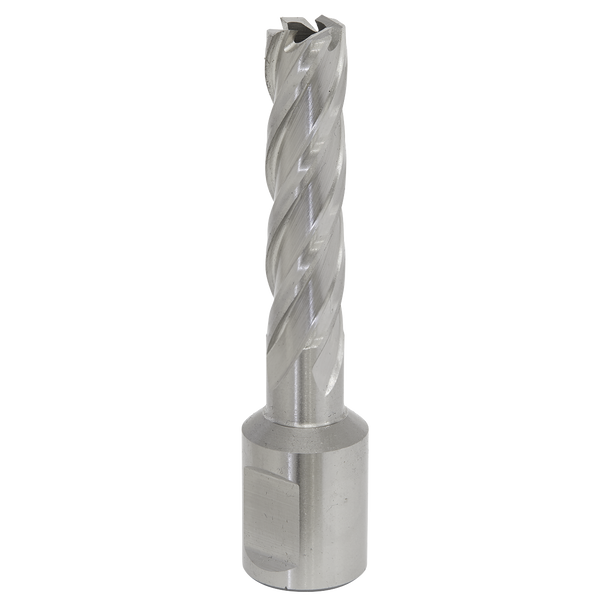 Sealey RBHSS12L ⏐ Worksafe® 12mm HSS Mag Drill Bit Cut Depth 50mm