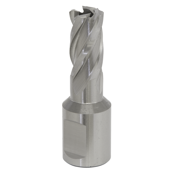 Sealey RBHSS12S ⏐ Worksafe® 12mm HSS Mag Drill Bit Cut Depth 25mm
