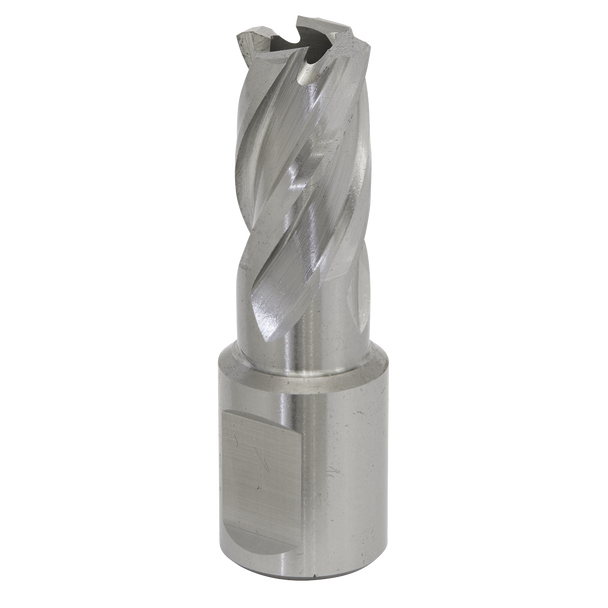 Sealey RBHSS15S ⏐ Worksafe® 15mm HSS Mag Drill Bit Cut Depth 25mm