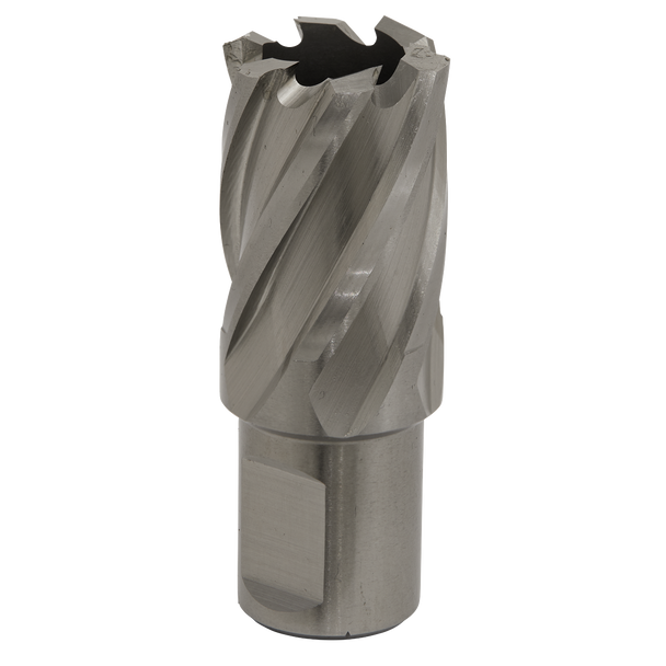 Sealey RBHSS22S⏐ Worksafe® 22mm HSS Mag Drill Bit Cut Depth 25mm