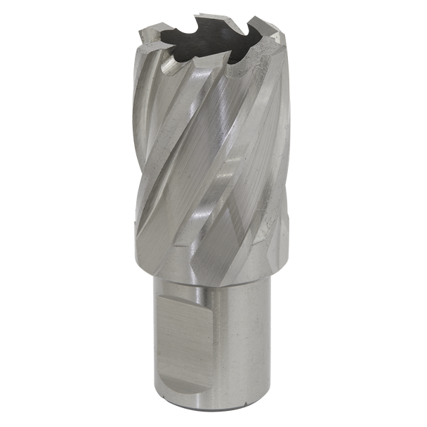 Sealey RBHSS17S ⏐ Worksafe® 17mm HSS Mag Drill Bit Cut Depth 25mm