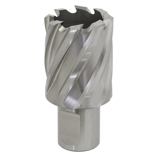 Sealey RBHSS29S ⏐ Worksafe® 29mm HSS Mag Drill Bit Cut Depth 25mm