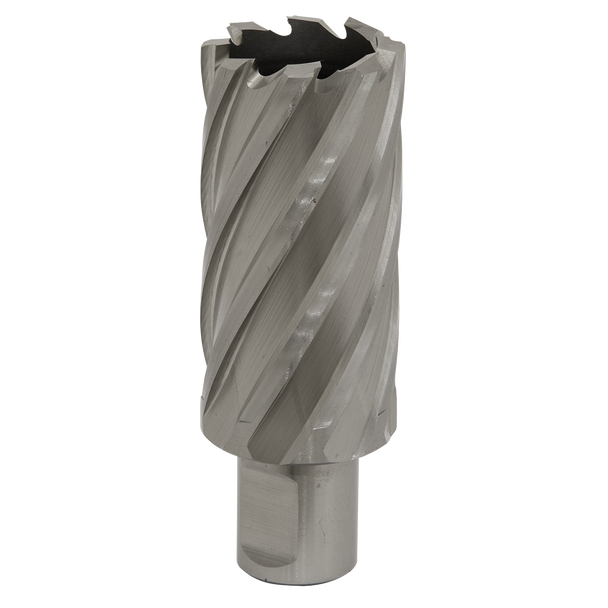 Sealey RBHSS31L ⏐ Worksafe® 31mm HSS Mag Drill Bit Cut Depth 50mm