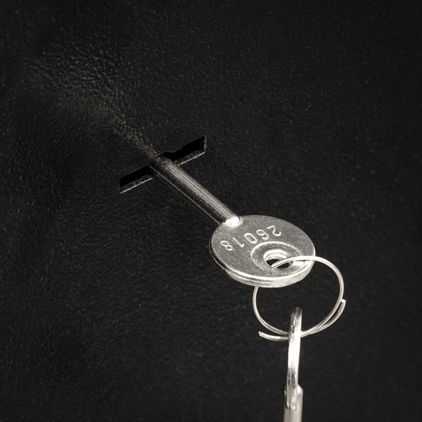 Sealey SGS3 ⏐ 3 Gun Cabinet