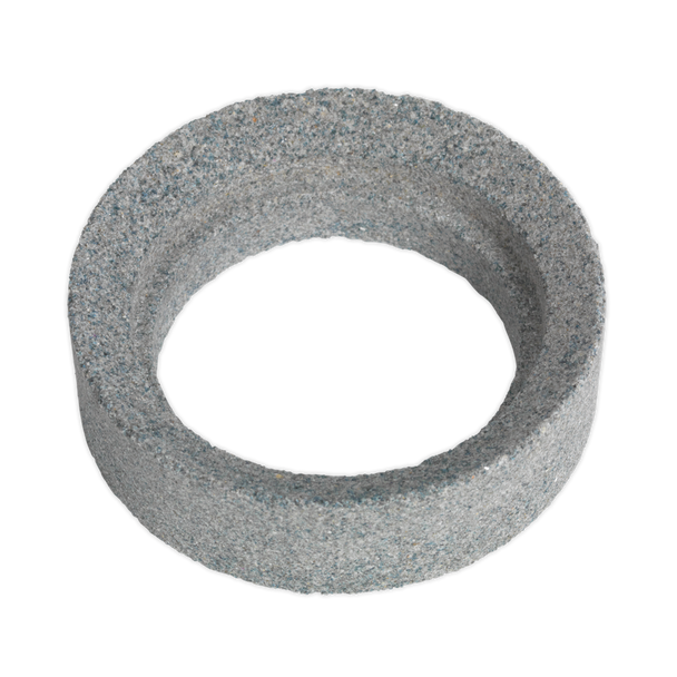 Sealey SMS2001M.10 ⏐ Sharpening Disc for SMS2001M