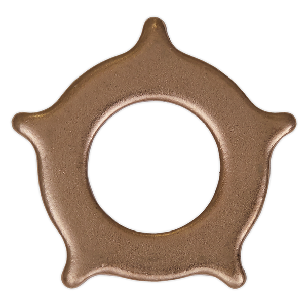Sealey SR2000.SW ⏐ Star Washer for SR2000 - Pack of 10