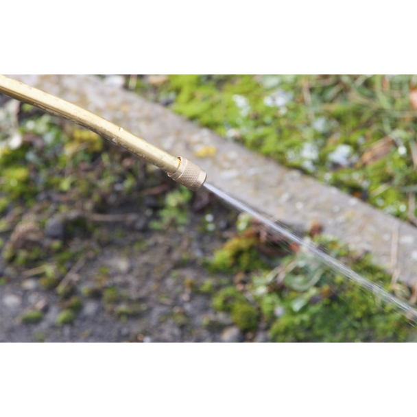 Sealey SS3 ⏐ Pressure Sprayer 8L