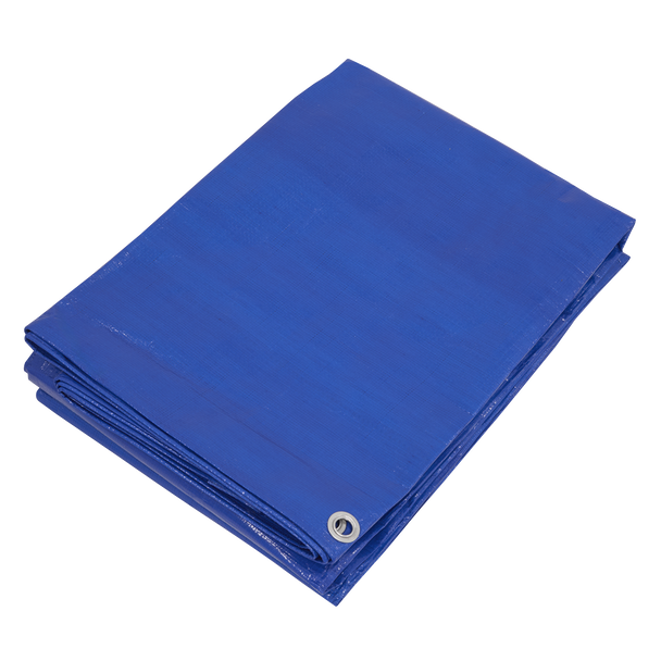 Sealey TARP5070 ⏐ Lightweight PE Tarpaulin 5.49 x 7.32m - Blue