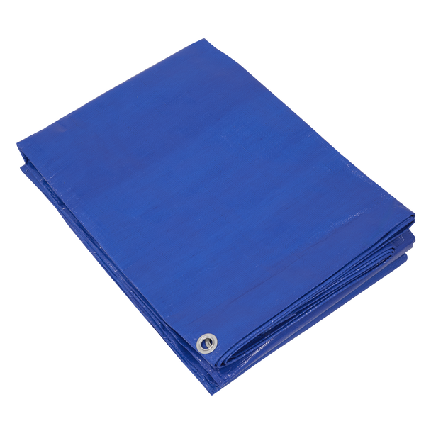 Sealey TARP6012 ⏐ Lightweight PE Tarpaulin 6.10 x 12.19m - Blue