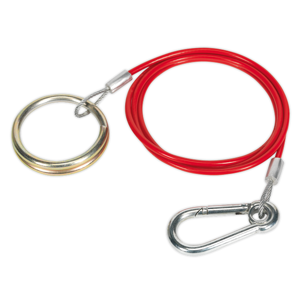 Sealey TB46 ⏐ Breakaway Cable 1m x 2mm